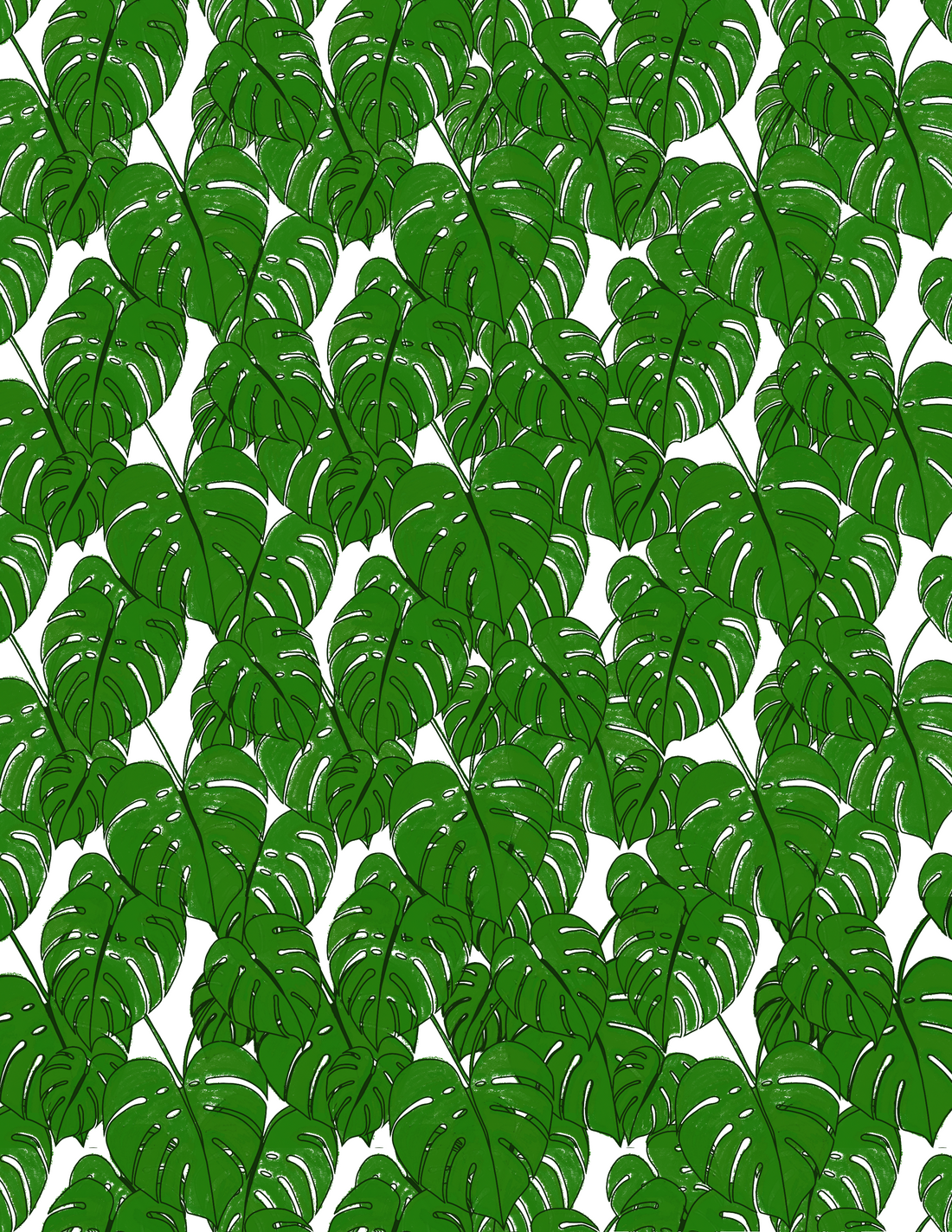Monstera Leaves
