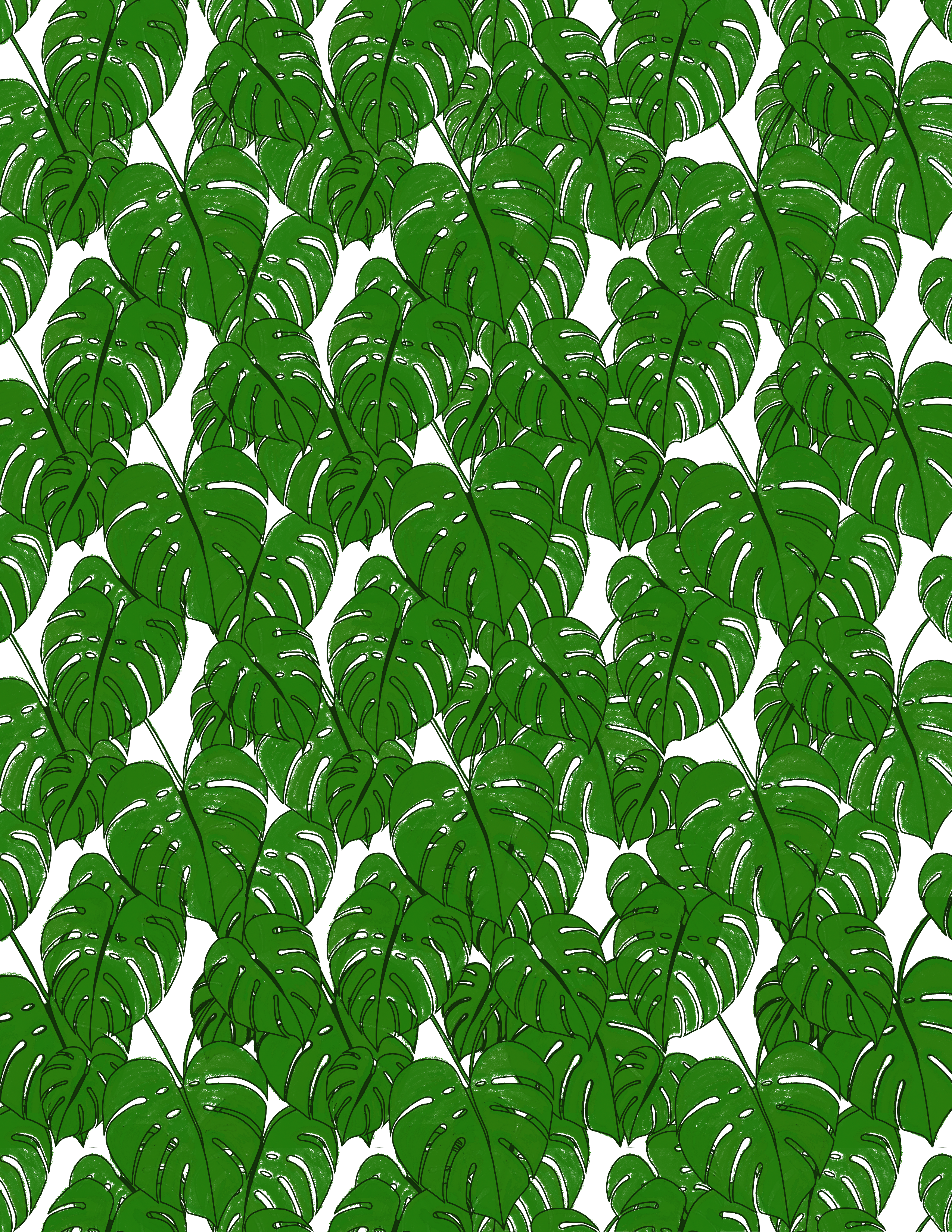 Monstera Leaves