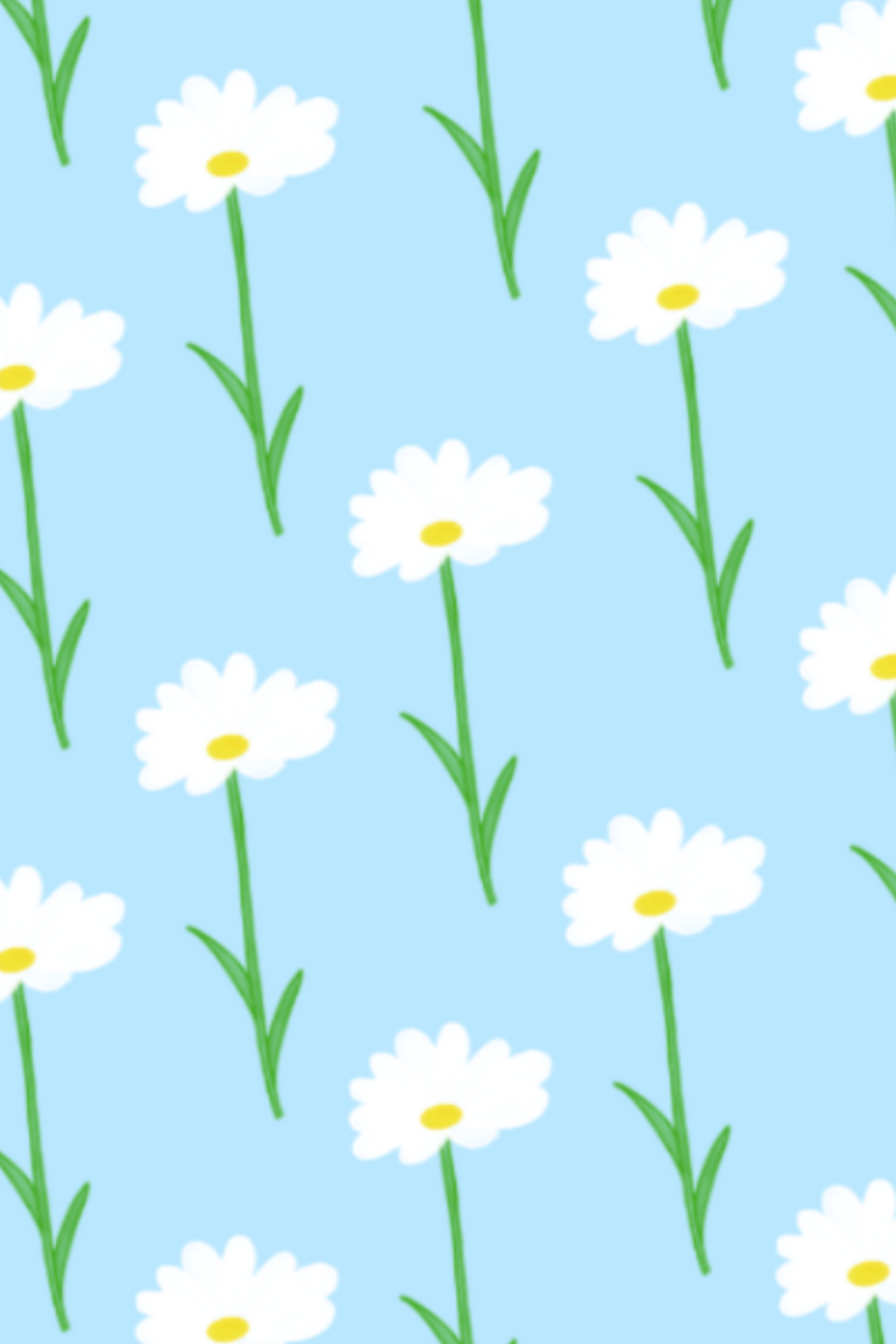 White Daisy