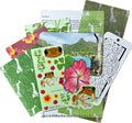 Touch Grass Mail Club stationery laid out to show a letter, custom designed scrapbook paper, sticker sheets, sticker flake of a coqui and an ACEO card of a flor de maga flower with a postcard print of a Puerto Rico landscape of trees and mountains. 