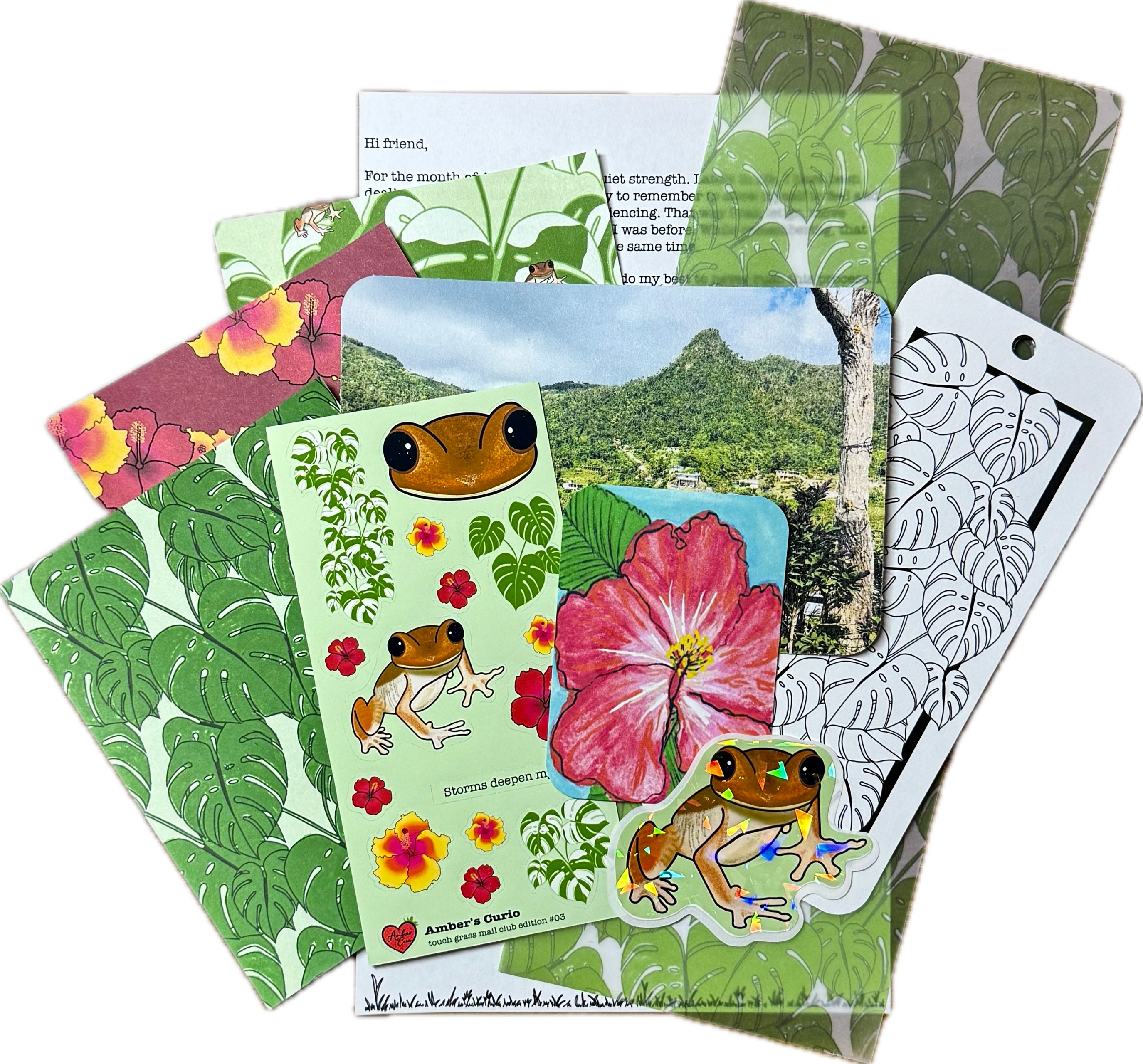 Touch Grass Mail Club stationery laid out to show a letter, custom designed scrapbook paper, sticker sheets, sticker flake of a coqui and an ACEO card of a flor de maga flower with a postcard print of a Puerto Rico landscape of trees and mountains. 