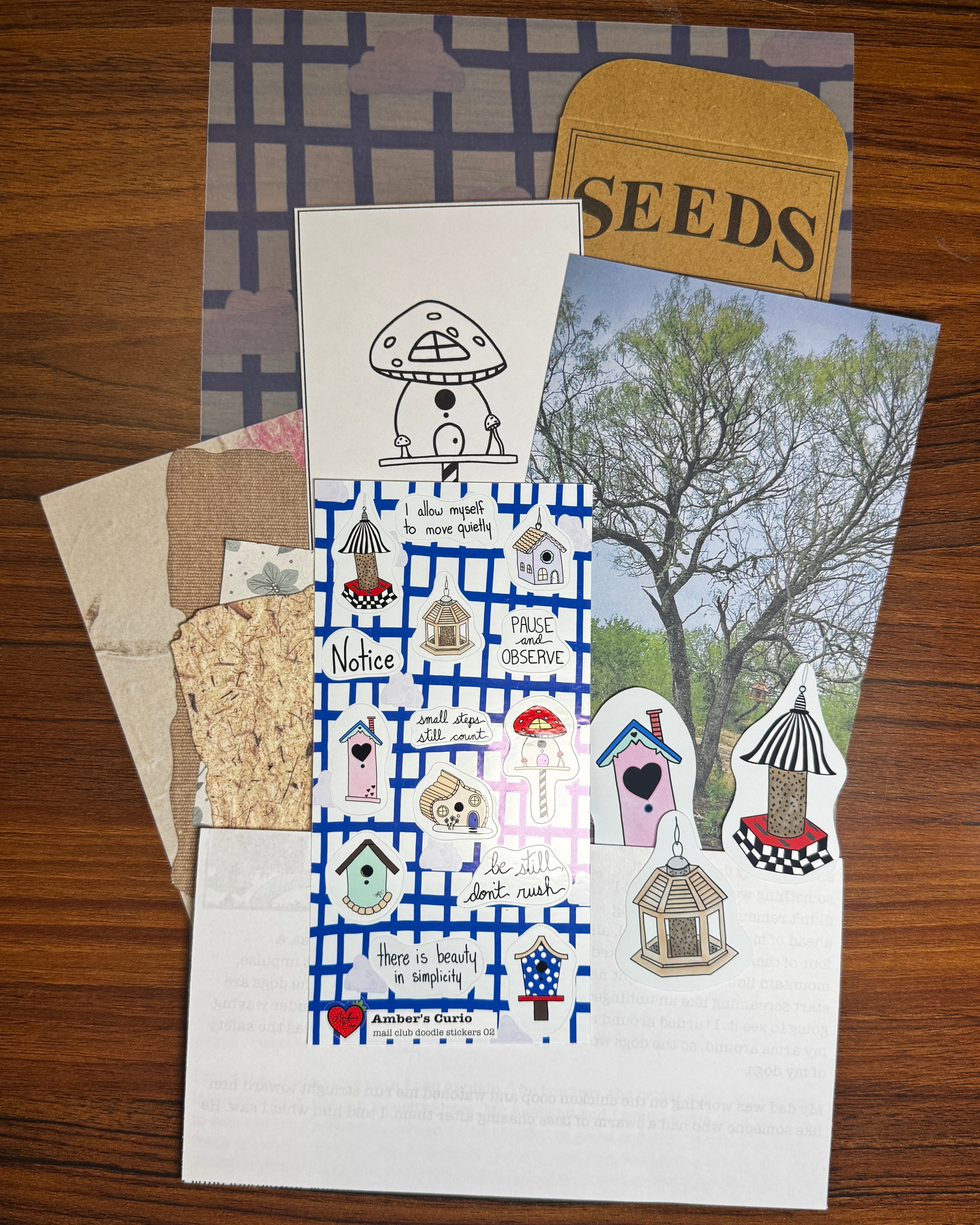 Collection of the Touch Grass Snail Mail Club and everything included for the current month. 